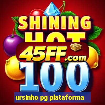 ursinho pg plataforma